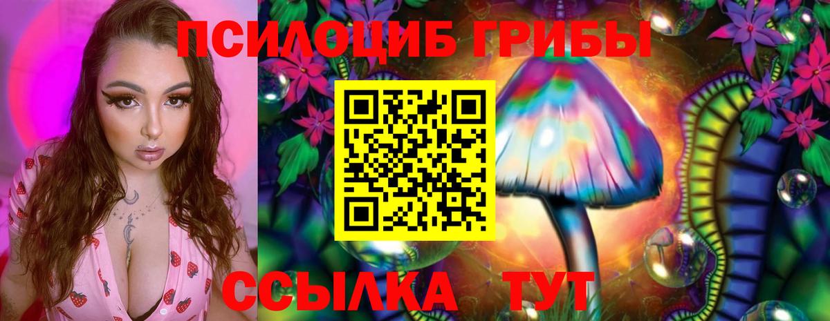 Псилоцибиновые грибы Psilocybine cubensis Шарыпово