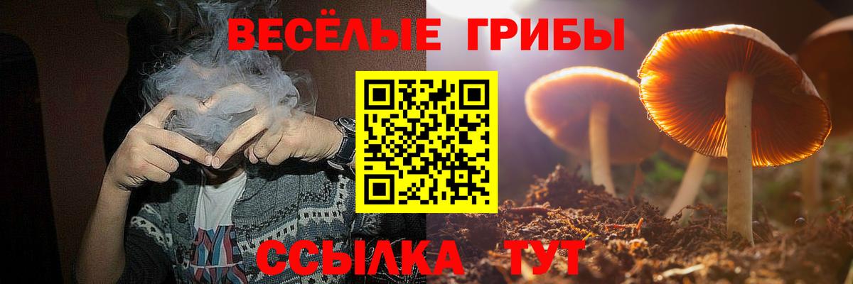 Псилоцибиновые грибы Cubensis  Галлюциногенные грибы GOLDEN TEACHER  Шарыпово  Вход с VPN 